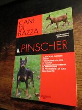 Pinscher corsinovi pancaldi usato  Savignano sul Rubicone