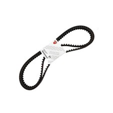 73740251b coppia cinghie usato  Pagani