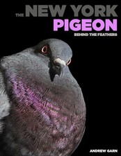 New york pigeon for sale  UK