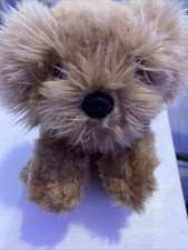 Signature cuddle puppies for sale  HARLOW