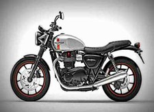 Metal sign triumph for sale  UK