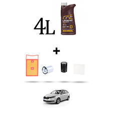 Hoffcar kit tagliando usato  Italia