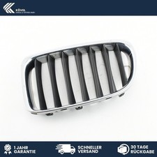 Kühlergrill frontgrill niere gebraucht kaufen  Eilenburg