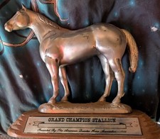 American quarter horse for sale  White City