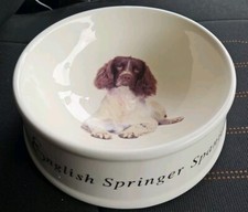 English springer spaniel for sale  CHESHAM