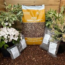 Melcourt bark pine for sale  HORSHAM