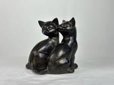 Black cat twins for sale  Belton