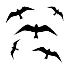 Vogelschutzaufkleber vögel gr gebraucht kaufen  Oberaudorf