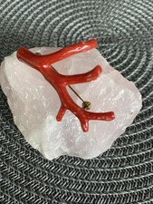 Herausragende brosche ast gebraucht kaufen  Langelsheim