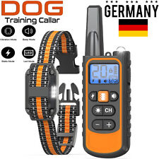 1000m hund ausbildung gebraucht kaufen  Aspisheim, Grolsheim