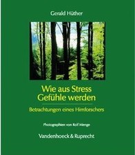 Stress gefühle betrachtungen gebraucht kaufen  Berlin