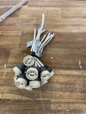 10x paulmann fassung gebraucht kaufen  Bebra