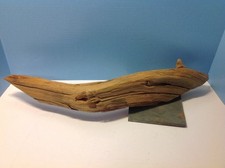 Maine driftwood height for sale  West Chicago