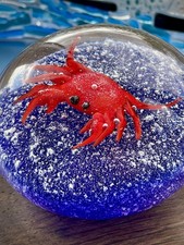Crab crustacean seaside for sale  ABERGAVENNY
