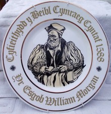 Welsh bible translation for sale  NEWTOWN