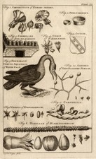 Antique print water d'occasion  Expédié en Belgium