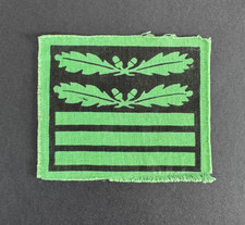 Ww2 german waffen usato  Papiano