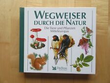 Wunderschönes buch tollen gebraucht kaufen  Gaimersheim