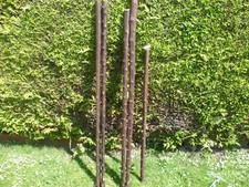 Blackthorn walking stick for sale  GOOLE