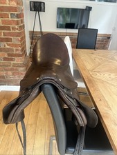 Dark brown dressage for sale  LYMINGTON
