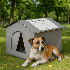 Cat winter insulated for sale  NEW MALDEN