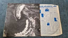 groundhogs for sale groundhogs for sale CONGLETON