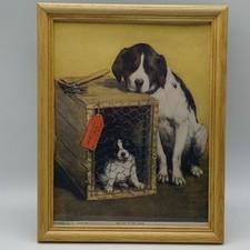 Last litter print for sale  Pittsburgh