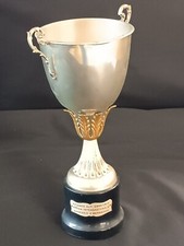 Trofeo coppa rally usato  Italia