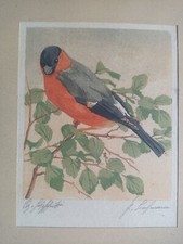 Friedrich bochmann riginaler gebraucht kaufen  Dresden
