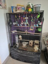 parakeets large cage for sale parakeets large cage for sale Schenectady
