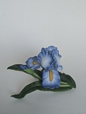 Vintage lenox iris for sale  Matawan