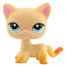 Little pet shop for sale  Las Vegas