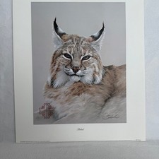 Bobcat for sale  West Memphis