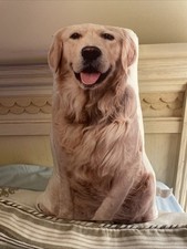 Golden retriever print for sale  Palm Beach Gardens