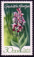 1566 heimische pflanzen gebraucht kaufen 1566 heimische pflanzen gebraucht kaufen  Schwalmtal