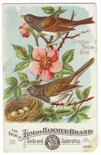 Oregon snow bird for sale  Wasilla
