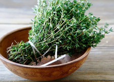 Seeds common english for sale  Torrance