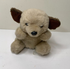 Chosun international puppy for sale  Dewitt