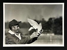 1984 pigeon handler for sale  Chattanooga