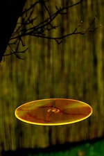 Cazador del sol gebraucht kaufen  Gersthofen