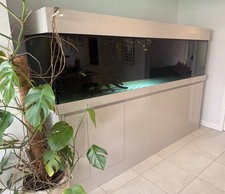 8ft aquatics aquarium for sale 8ft aquatics aquarium for sale  CALDICOT