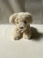 Cream dog puppy for sale  BIRMINGHAM