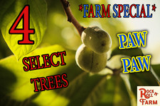 Farm special four for sale  Staten Island