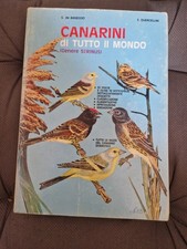 Canarini tutto baseggio usato  Cerveteri