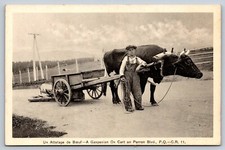 Cartão postal Gaspe Quebec menino gaspesiano com carrinho de boi no Perron Boulevard QC comprar usado  Enviando para Brazil