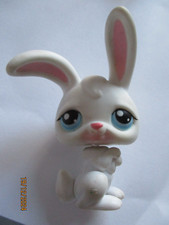 Petshop lapin garenne d'occasion  Saint-Omer