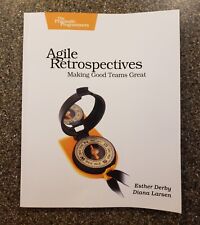 Pragmatic programmers agile for sale  Holmen