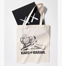 Kaws warhol for usato  Milano