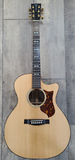 Martin gpcpa1 performing for sale  Rapid City