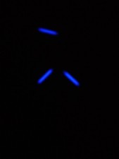 2mm 12mm blue for sale  TIPTON